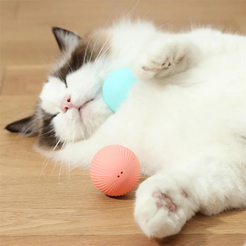 Bola de brinquedo inteligente para cachorro