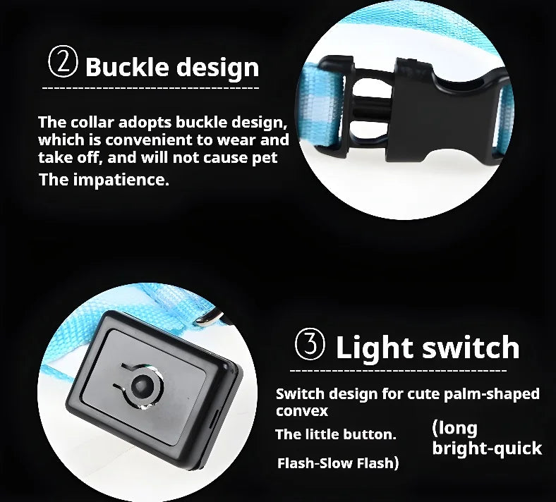 Coleira para cães de estimação luminosa fluorescente