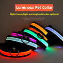 Coleira para cães de estimação luminosa fluorescente