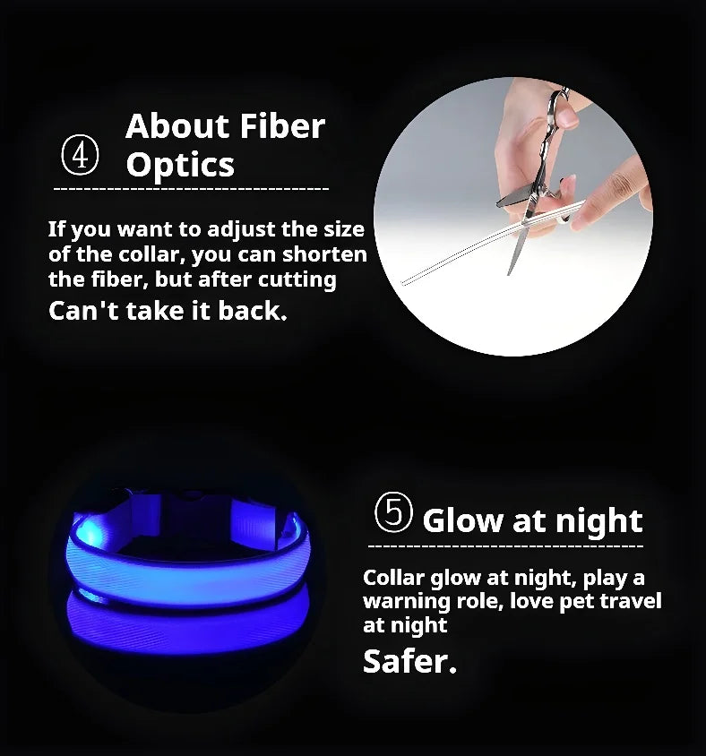 Coleira para cães de estimação luminosa fluorescente