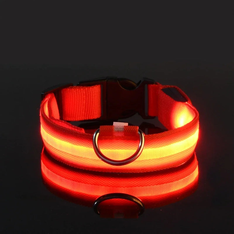 Coleira para cães de estimação luminosa fluorescente
