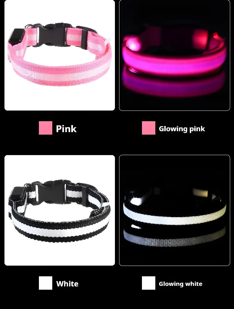 Coleira para cães de estimação luminosa fluorescente