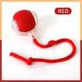 Bola de brinquedo inteligente para cachorro