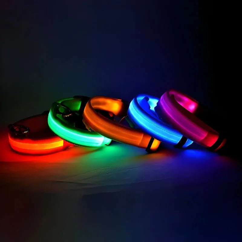 Coleira para cães de estimação luminosa fluorescente
