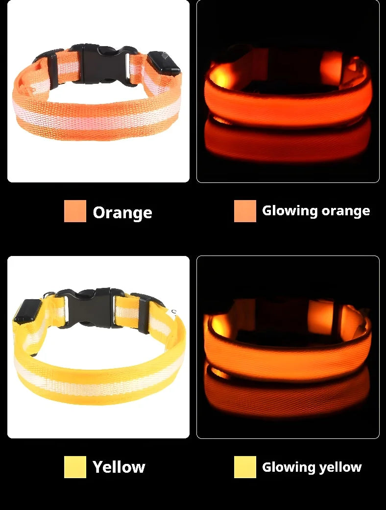Coleira para cães de estimação luminosa fluorescente