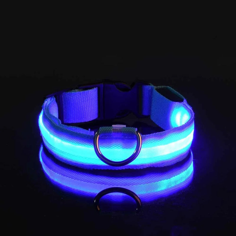 Coleira para cães de estimação luminosa fluorescente