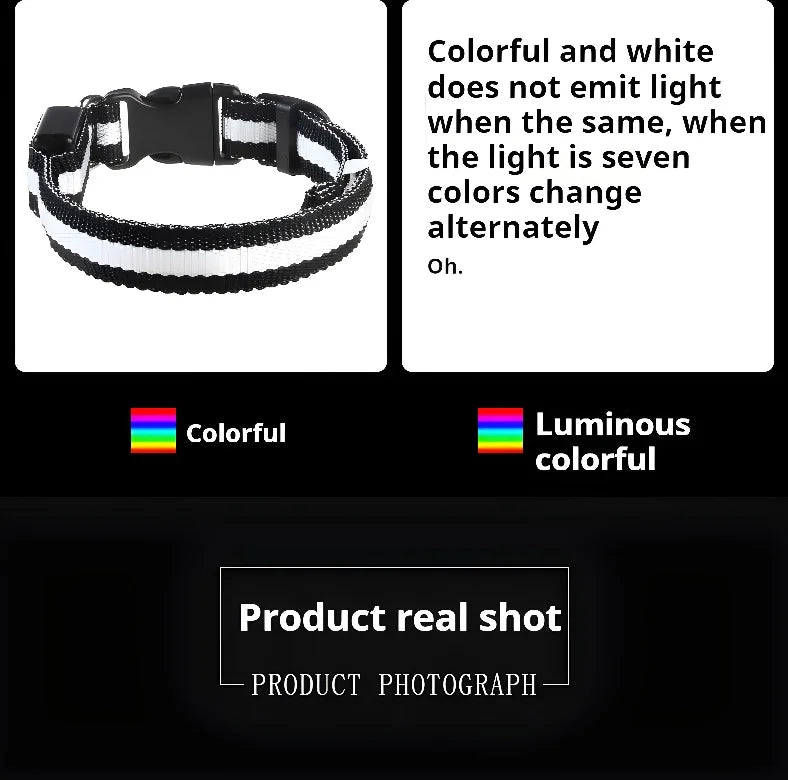 Coleira para cães de estimação luminosa fluorescente