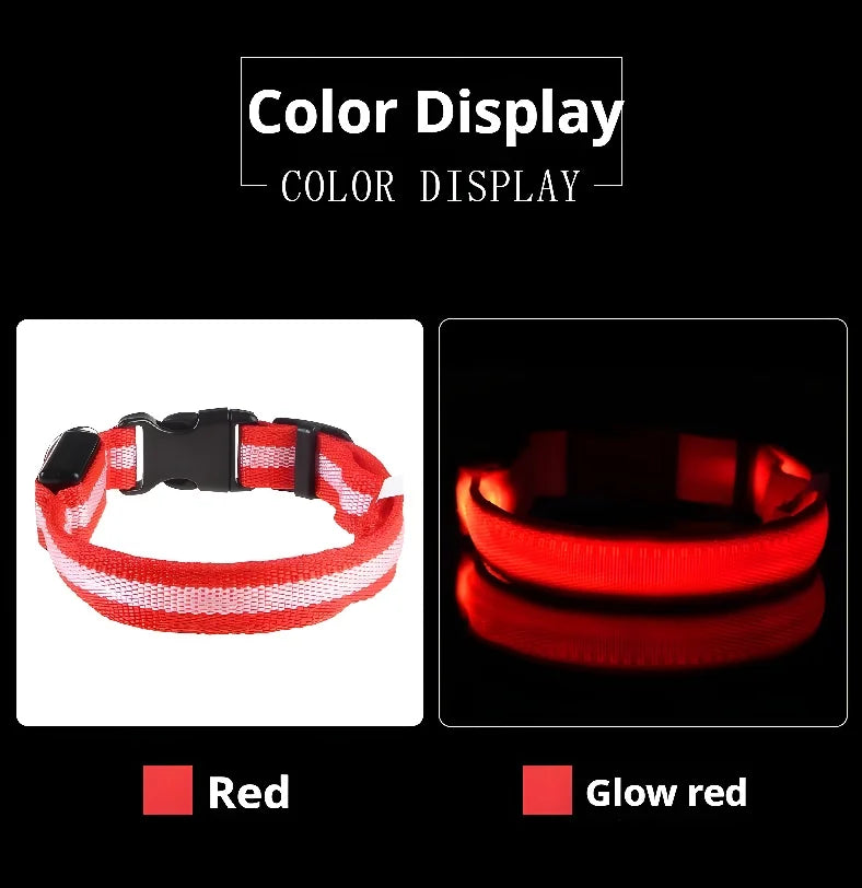 Coleira para cães de estimação luminosa fluorescente