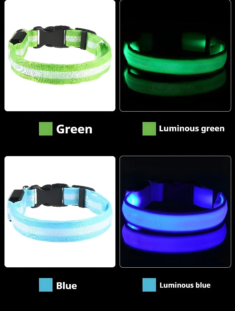 Coleira para cães de estimação luminosa fluorescente