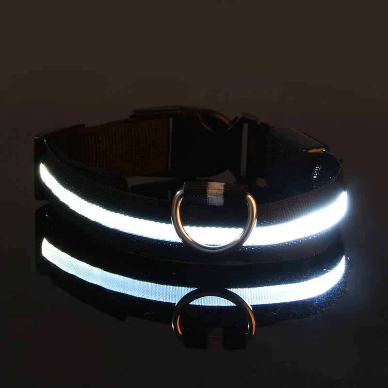 Coleira para cães de estimação luminosa fluorescente