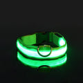 Coleira para cães de estimação luminosa fluorescente