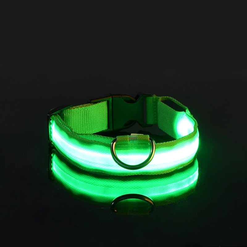 Coleira para cães de estimação luminosa fluorescente