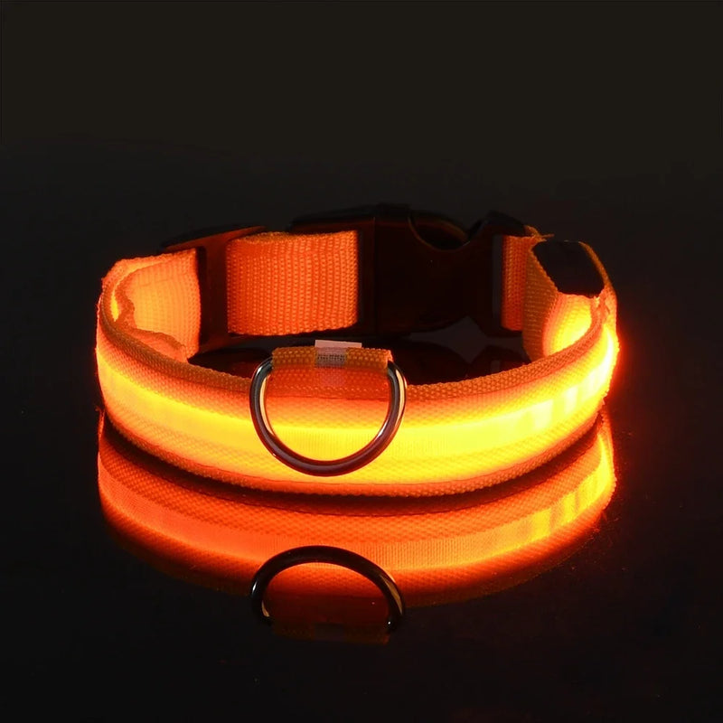 Coleira para cães de estimação luminosa fluorescente