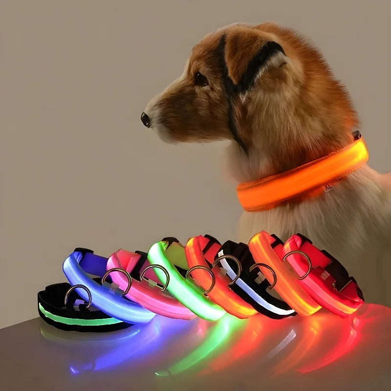 Coleira para cães de estimação luminosa fluorescente