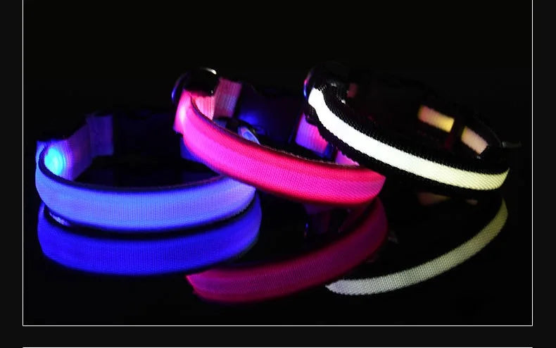 Coleira para cães de estimação luminosa fluorescente