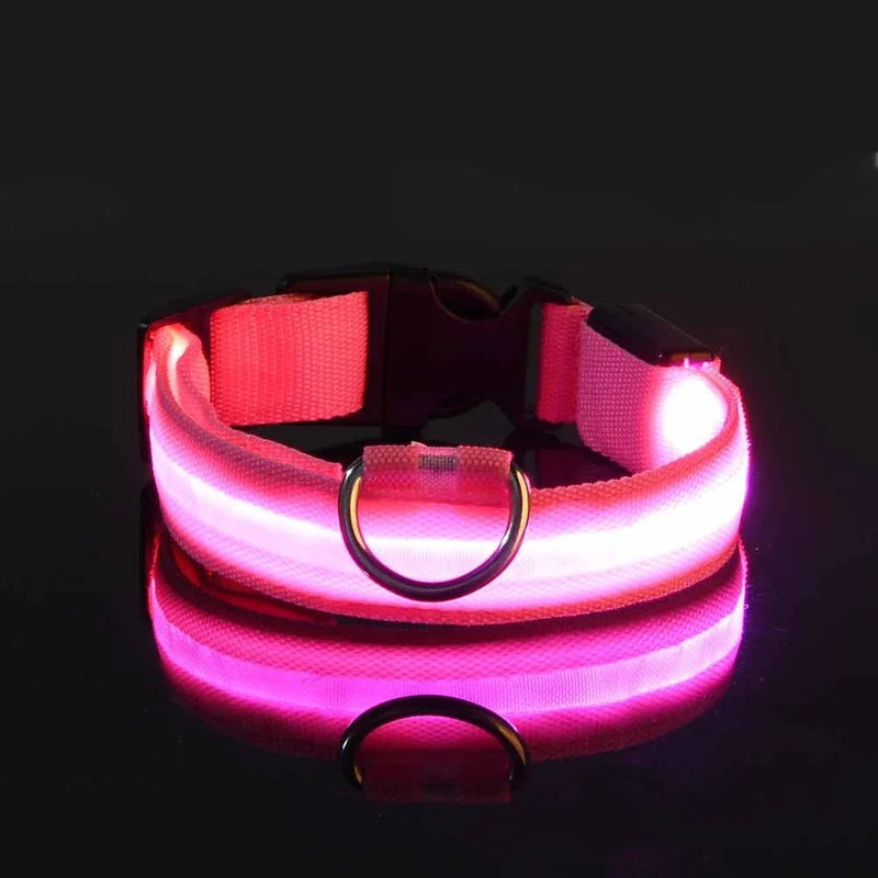 Coleira para cães de estimação luminosa fluorescente