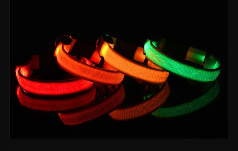 Coleira para cães de estimação luminosa fluorescente