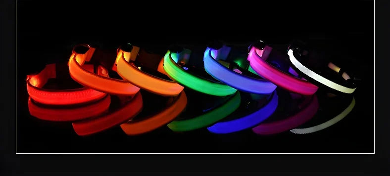 Coleira para cães de estimação luminosa fluorescente
