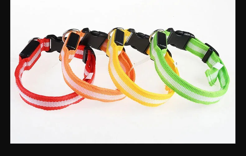 Coleira para cães de estimação luminosa fluorescente