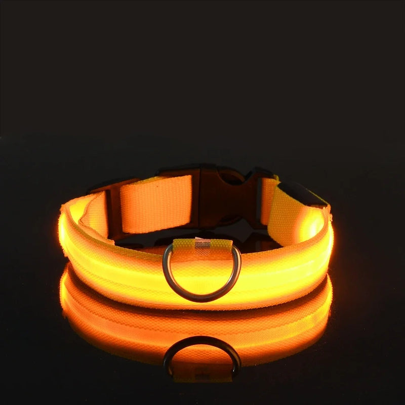 Coleira para cães de estimação luminosa fluorescente